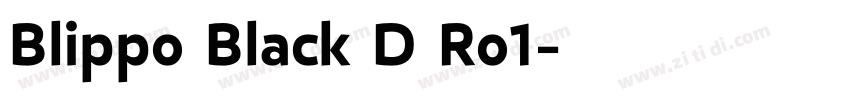 Blippo Black D Ro1字体转换
